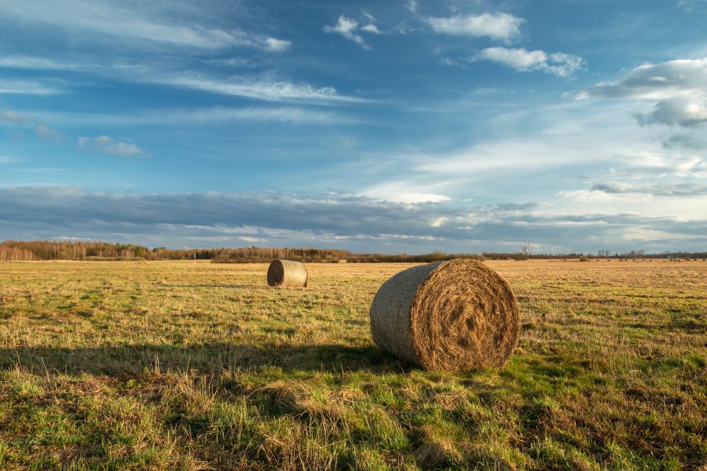farmers field